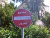 cheyef6