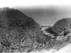 nahr_kalb