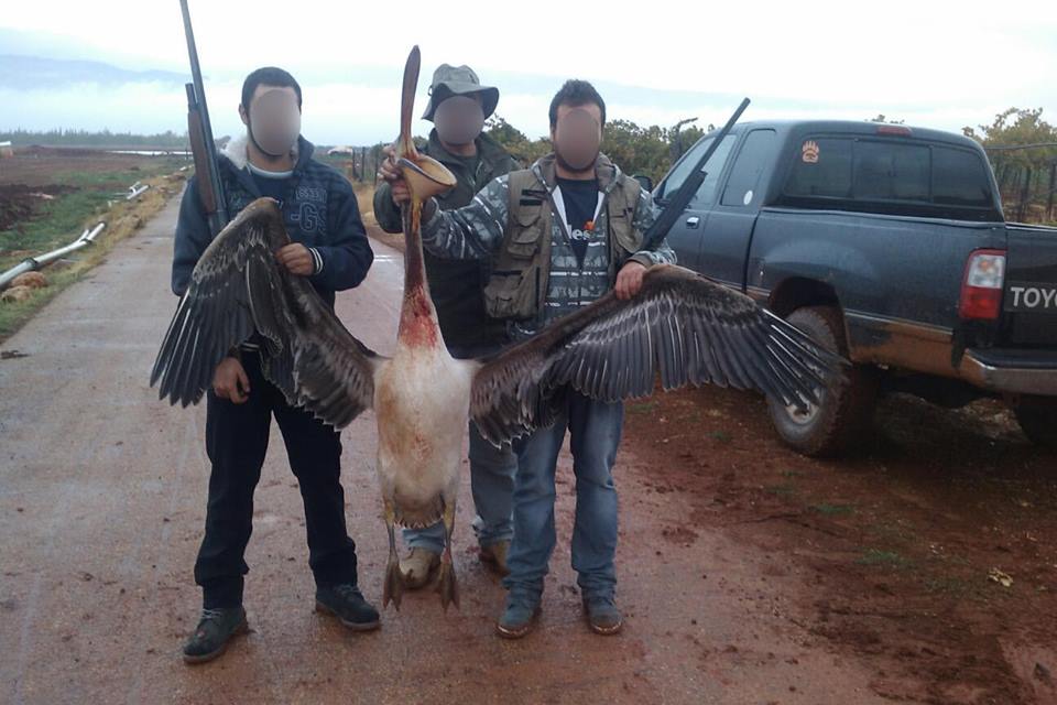STOP Hunting Crimes in Lebanon! | Blog Baladi
