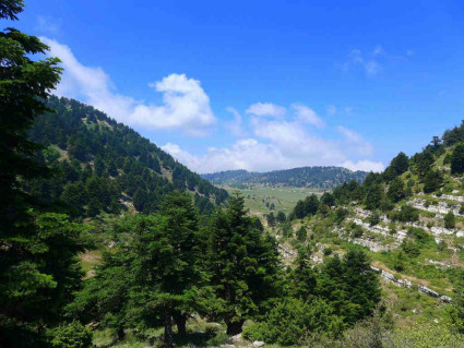 Five Reasons To Visit Kobayat (Akkar) This Summer | Blog Baladi