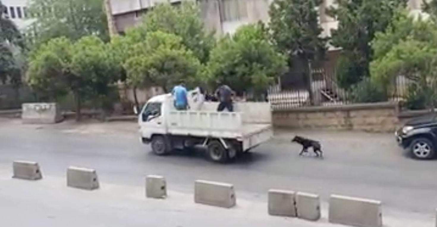 Footage Showing Dog Being Cruelly Dragged Behind Municipality Truck in