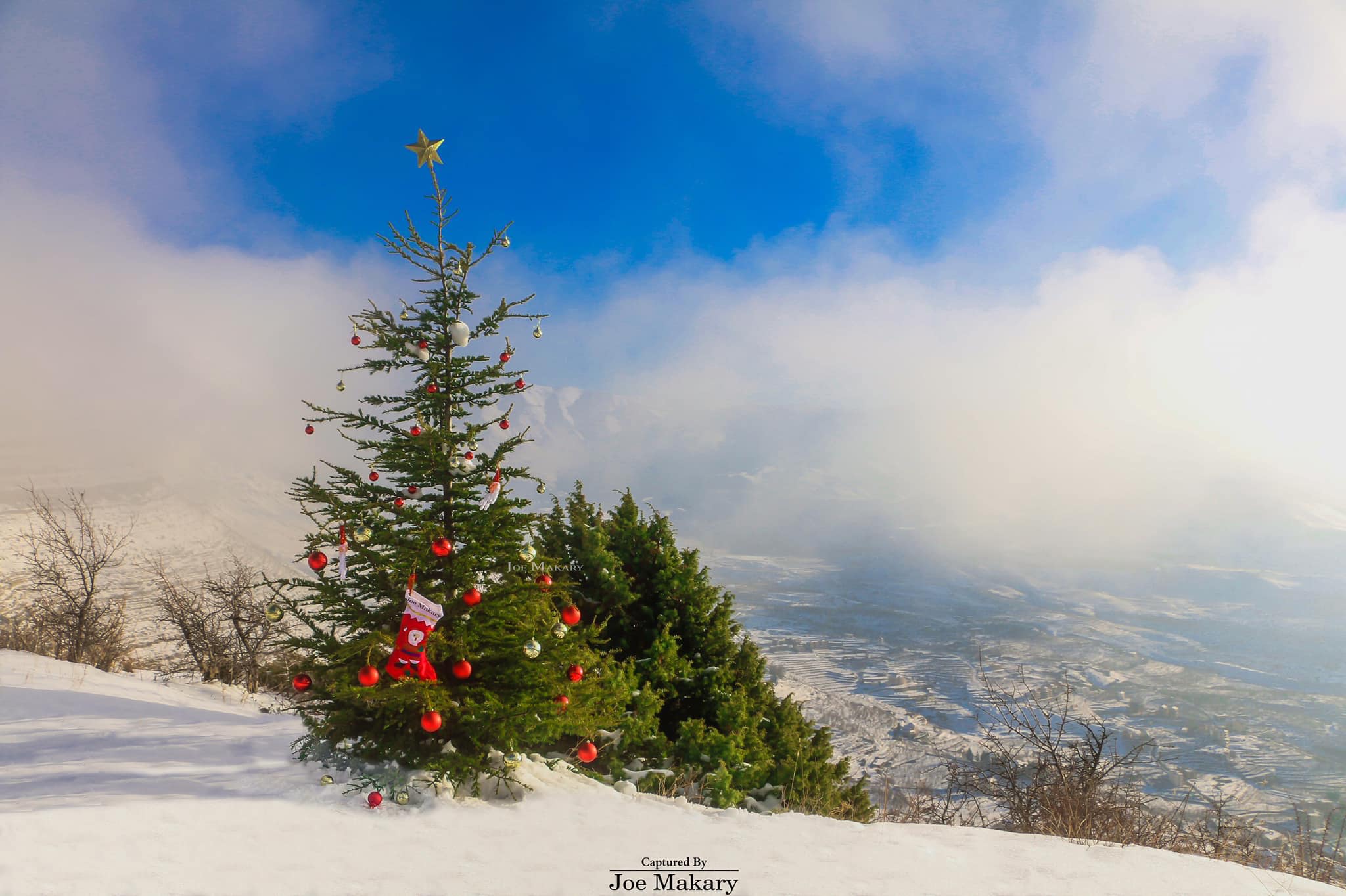 Christmas Trees & Decoration From Around Lebanon [2018]  Blog Baladi