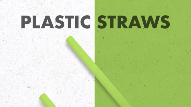 Zaatar W Zeit Drops Plastic Straws